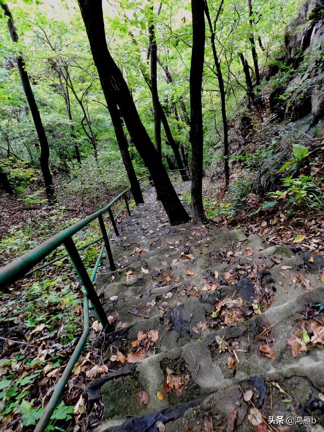 本溪大峡谷一日游攻略（本溪最具挑战的旅游线路）(37)