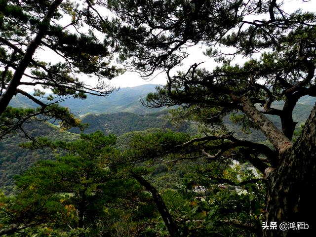 本溪大峡谷一日游攻略（本溪最具挑战的旅游线路）(42)