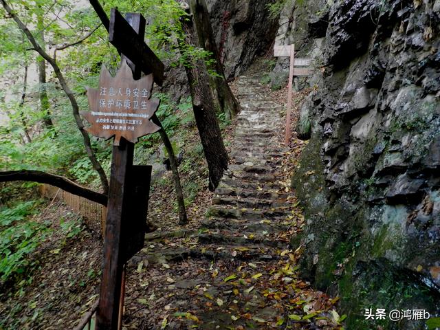 本溪大峡谷一日游攻略（本溪最具挑战的旅游线路）(21)