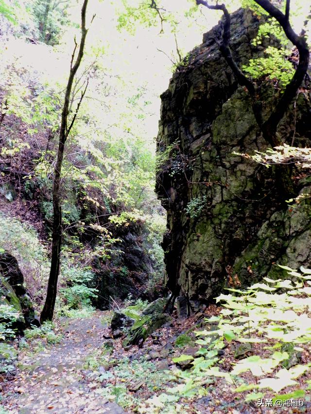 本溪大峡谷一日游攻略（本溪最具挑战的旅游线路）(36)