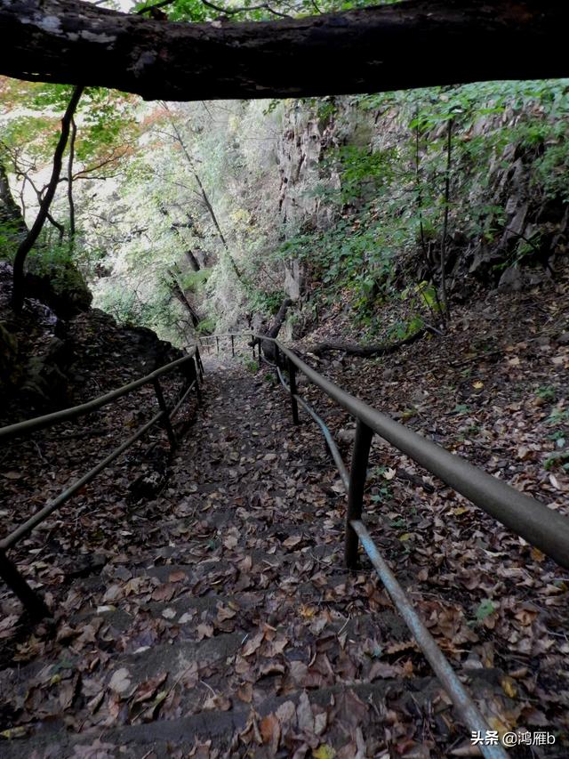 本溪大峡谷一日游攻略（本溪最具挑战的旅游线路）(60)