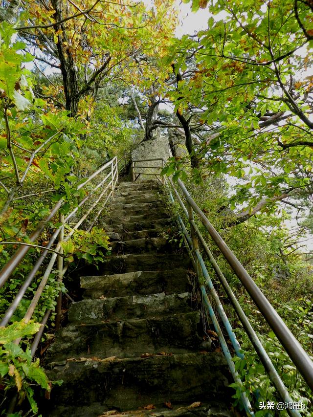 本溪大峡谷一日游攻略（本溪最具挑战的旅游线路）(45)