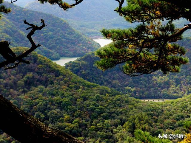 本溪大峡谷一日游攻略（本溪最具挑战的旅游线路）(50)