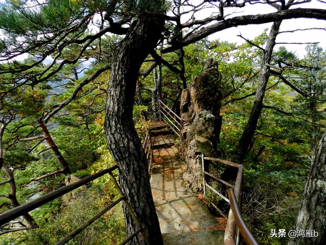 本溪大峡谷一日游攻略（本溪最具挑战的旅游线路）(55)