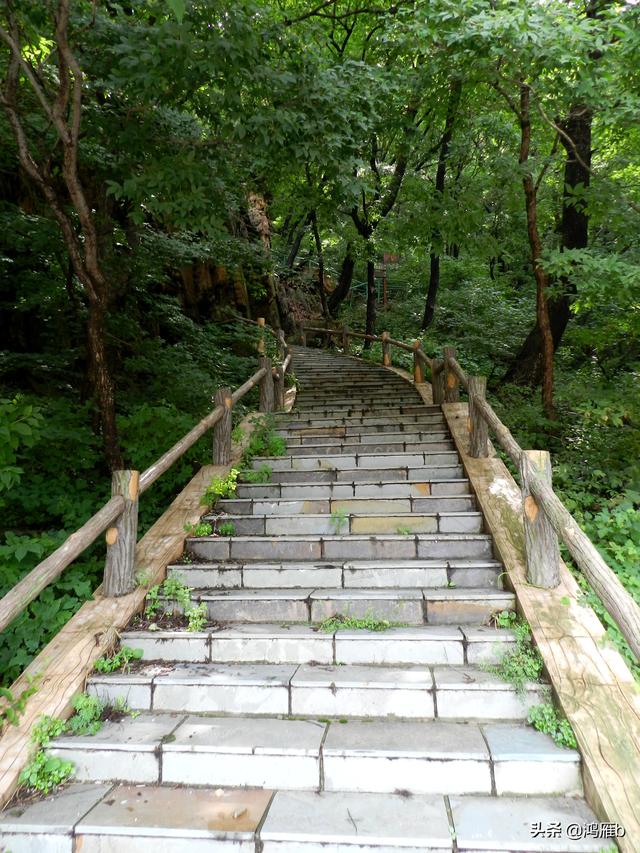 本溪大峡谷一日游攻略（本溪最具挑战的旅游线路）(7)