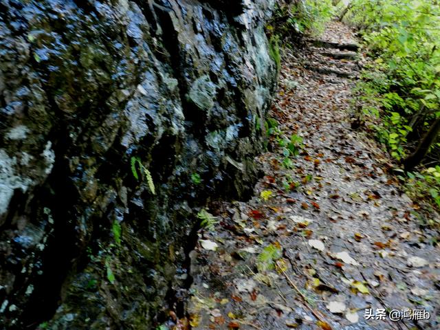 本溪大峡谷一日游攻略（本溪最具挑战的旅游线路）(20)