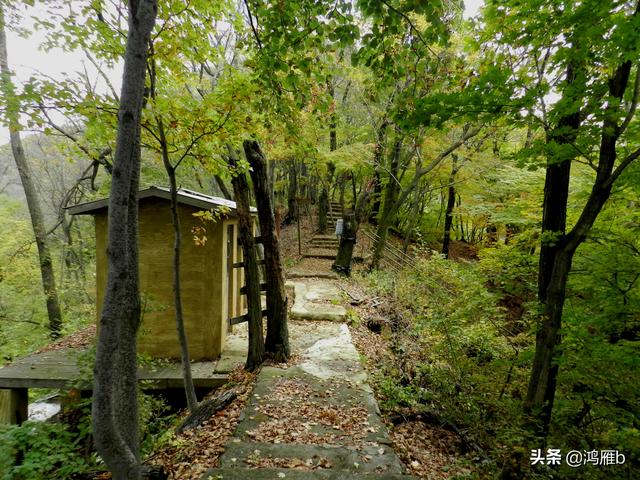 本溪大峡谷一日游攻略（本溪最具挑战的旅游线路）(84)