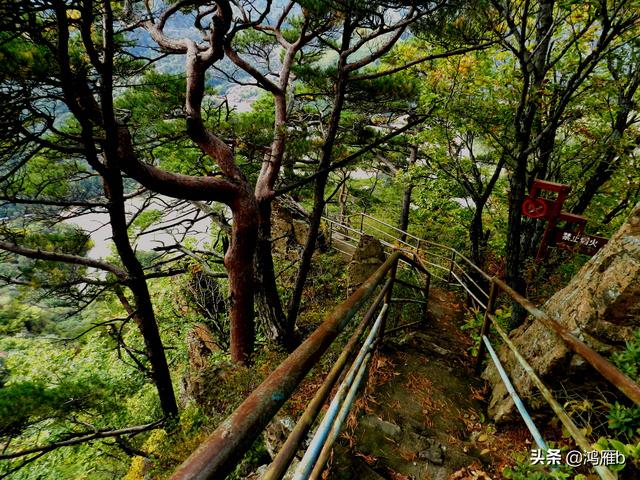 本溪大峡谷一日游攻略（本溪最具挑战的旅游线路）(52)