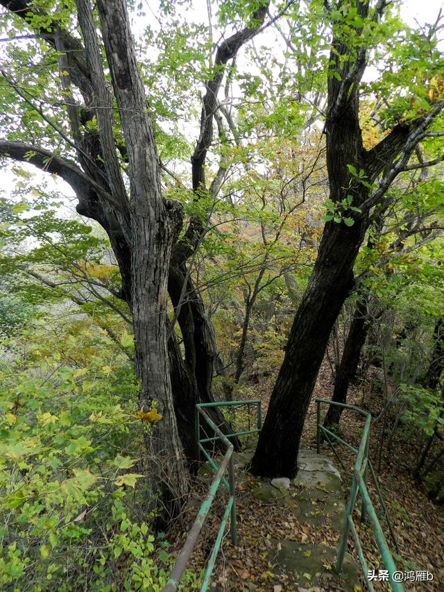 本溪大峡谷一日游攻略（本溪最具挑战的旅游线路）(73)