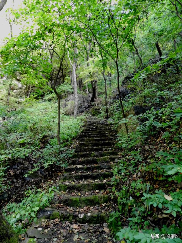 本溪大峡谷一日游攻略（本溪最具挑战的旅游线路）(10)