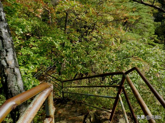 本溪大峡谷一日游攻略（本溪最具挑战的旅游线路）(56)