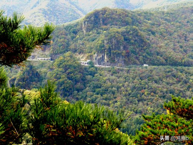 本溪大峡谷一日游攻略（本溪最具挑战的旅游线路）(46)