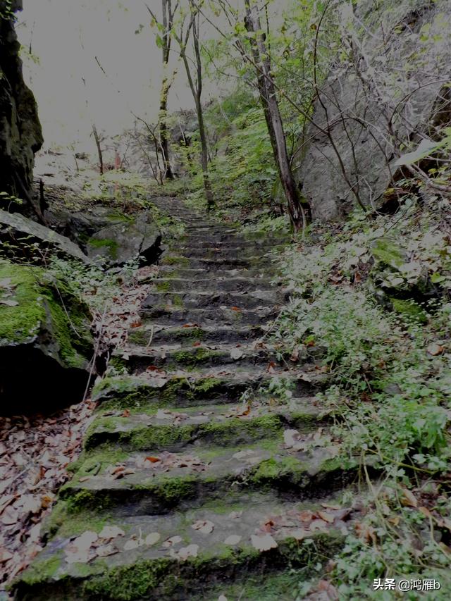 本溪大峡谷一日游攻略（本溪最具挑战的旅游线路）(34)