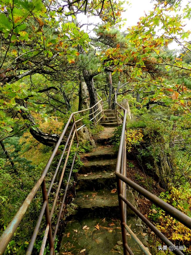 本溪大峡谷一日游攻略（本溪最具挑战的旅游线路）(53)