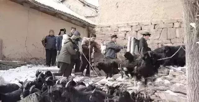 中国美女主持人一夜之间神秘失踪，11年后，真相震撼曝光…