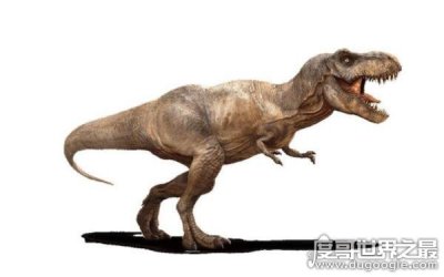 ​世界上最可怕的恐龙，生存于白垩纪最末期（霸王龙）