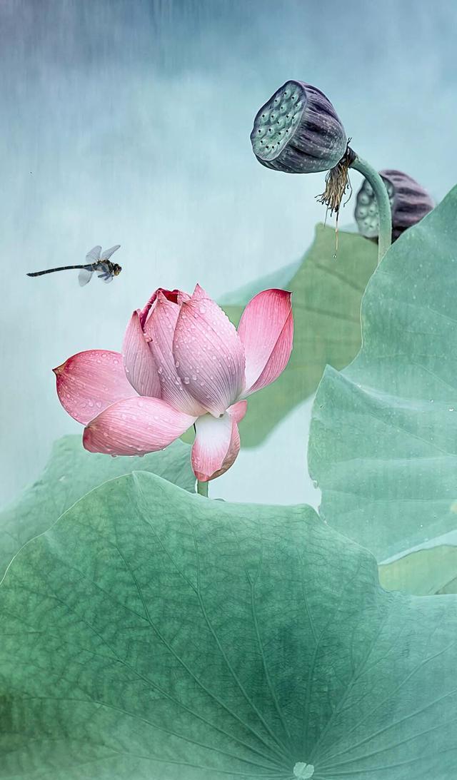 朋友圈封面壁纸，之大话西游，至尊宝 朱茵