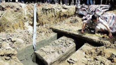 ​“棺材菌”究竟是怎么回事儿？有什么有效的药用价值吗？涨知识了