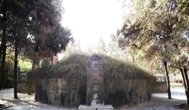 洛阳最值得去的三个旅游景点（洛阳旅游必去的6大景点）(24)