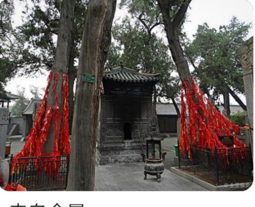 洛阳最值得去的三个旅游景点（洛阳旅游必去的6大景点）(31)