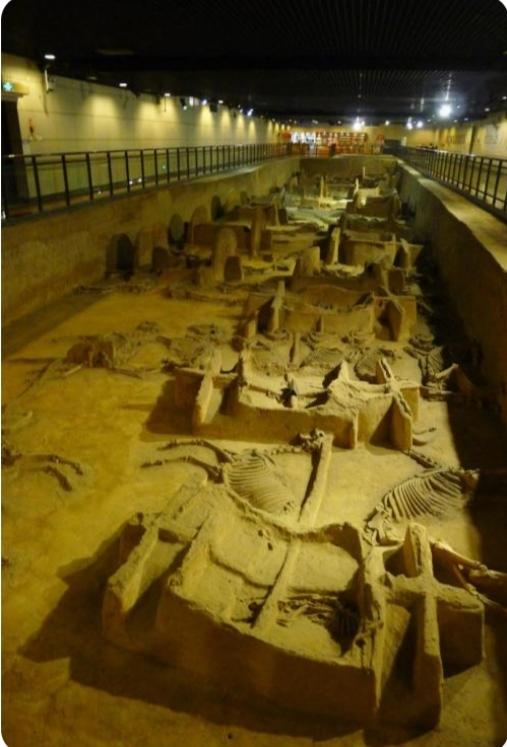 洛阳最值得去的三个旅游景点（洛阳旅游必去的6大景点）(42)