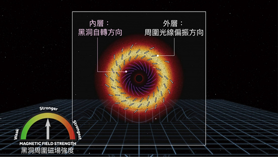 M87 星系中心黑洞的自转方向（顺时钟）与周围光线偏振方向（逆时钟）刚好相应，而这个特定的偏振方向，也就形成黑洞照片上类似丹麦甜甜圈的特殊纹路。资料来源│EHT
