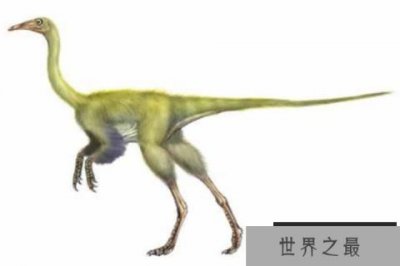 ​似鸟身女妖龙：以希腊神话的鸟身女妖命名的恐龙