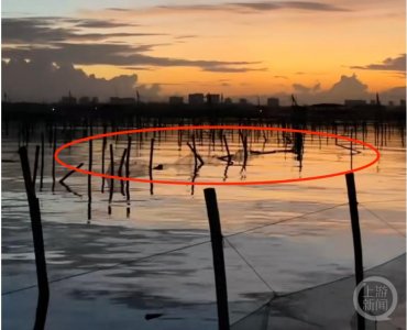 ​阳澄湖大闸蟹被台风集体吹“越狱”？蟹农回应：几家幸运几家愁