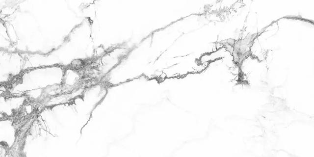 广东佛山十大品牌瓷砖排名（40多款大牌瓷砖新品PK）(23)