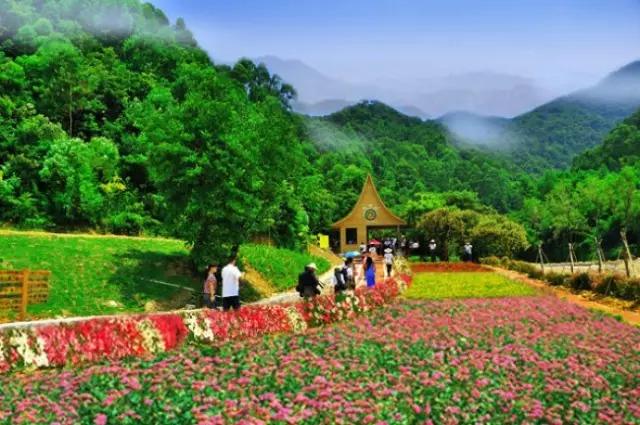 佛山旅游必去的4个景点有哪些呢（佛山这56个景点你去过几个）(54)