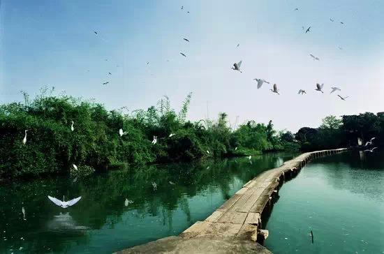 佛山旅游必去的4个景点有哪些呢（佛山这56个景点你去过几个）(31)