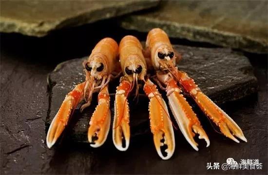 海鲜种类有哪些最好吃的是哪种（市场常见的102种海鲜）(34)