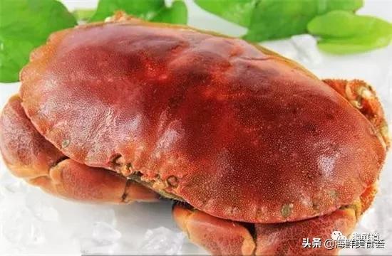 海鲜种类有哪些最好吃的是哪种（市场常见的102种海鲜）(13)