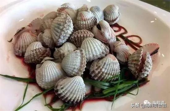 海鲜种类有哪些最好吃的是哪种（市场常见的102种海鲜）(42)