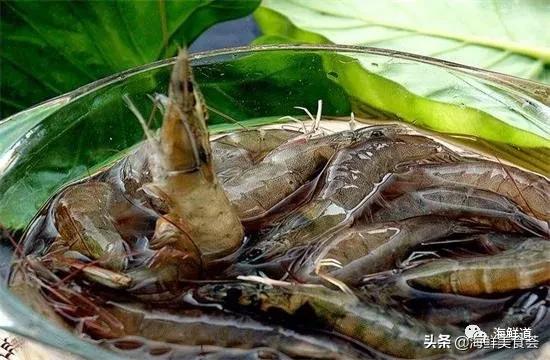 海鲜种类有哪些最好吃的是哪种（市场常见的102种海鲜）(59)