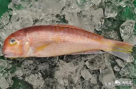 海鲜种类有哪些最好吃的是哪种（市场常见的102种海鲜）(82)