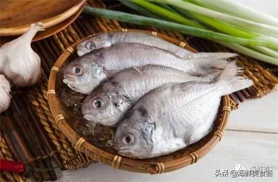 海鲜种类有哪些最好吃的是哪种（市场常见的102种海鲜）(24)