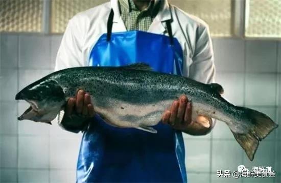 海鲜种类有哪些最好吃的是哪种（市场常见的102种海鲜）(65)