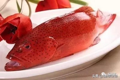 ​海鲜种类有哪些最好吃的是哪种（市场常见的102种海鲜）