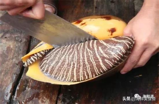 海鲜种类有哪些最好吃的是哪种（市场常见的102种海鲜）(25)