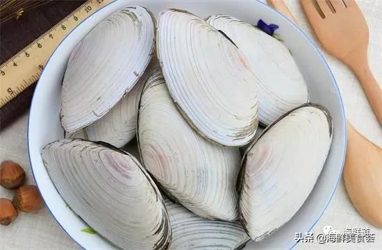 海鲜种类有哪些最好吃的是哪种（市场常见的102种海鲜）(32)