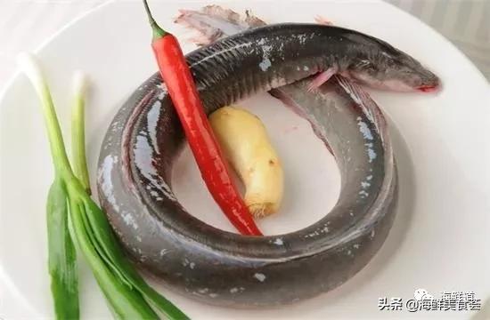 海鲜种类有哪些最好吃的是哪种（市场常见的102种海鲜）(66)