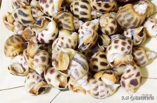 海鲜种类有哪些最好吃的是哪种（市场常见的102种海鲜）(41)