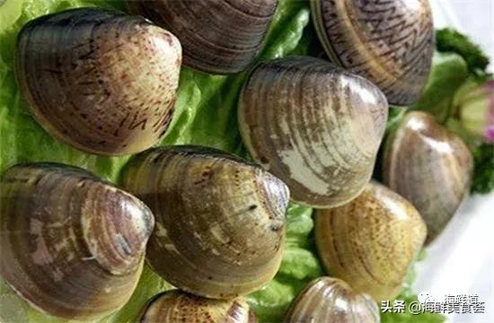 海鲜种类有哪些最好吃的是哪种（市场常见的102种海鲜）(67)