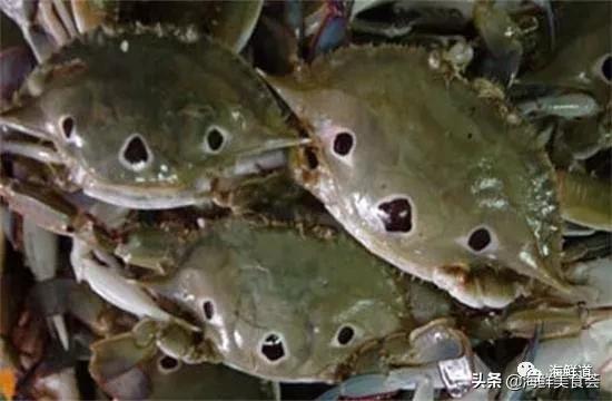 海鲜种类有哪些最好吃的是哪种（市场常见的102种海鲜）(38)