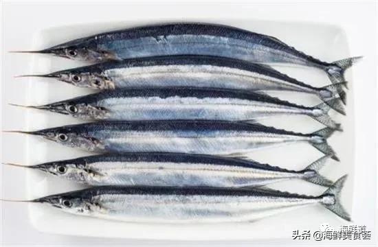 海鲜种类有哪些最好吃的是哪种（市场常见的102种海鲜）(89)