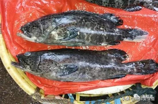 海鲜种类有哪些最好吃的是哪种（市场常见的102种海鲜）(6)