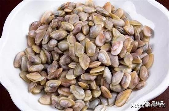 海鲜种类有哪些最好吃的是哪种（市场常见的102种海鲜）(70)