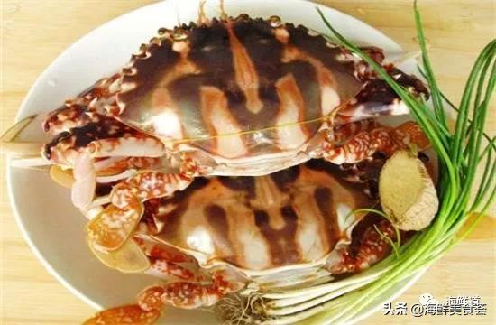 海鲜种类有哪些最好吃的是哪种（市场常见的102种海鲜）(77)