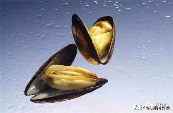 海鲜种类有哪些最好吃的是哪种（市场常见的102种海鲜）(61)